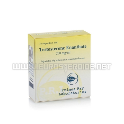 Testosterone Enanthate - 250mg/ml (10amp) - Primus Ray Laboratories