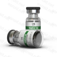 Enantat 250 250mg/ml 10ml Vial von Dragon-Pharma