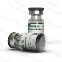 Enantat 400 400mg/ml 10ml Vial von Dragon-Pharma