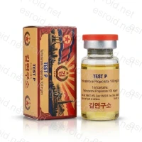 Test P 100mg/ml 10ml Vial von Kim Pharma