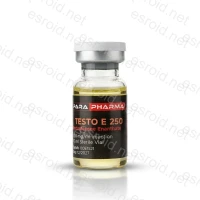 Testo E 250 250mg/ml 10ml Vial von Para Pharma