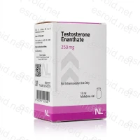 Testosterone Enanthate 250mg/ml 10ml Vial von Nassa Labs