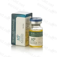 Trenbolone Enanthate 200mg/ml 10ml Vial von Magnus Pharmaceuticals