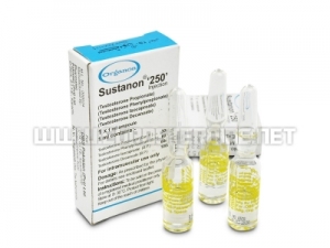 Sustanon 250 - 250mg/amp. - Pakistan Sustanon 250 - 250mg/amp. - Pakistan